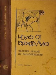 Горький Лук - Ноука от горького лука