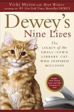 Вики Майрон Dewey's Nine Lives