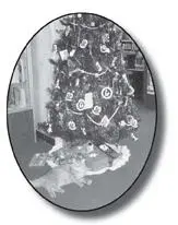 Christmas is a holiday the town of Spencer celebrates together Its the slow - фото 12