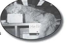 On the afternoon of June 7 1999 I received a phone call from a Dewey fan - фото 20