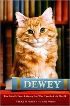 Вики Майрон Dewey: The Small-Town Library Cat Who Touched The World обложка книги