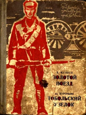 Владимир Матвеев Золотой поезд. Тобольский узелок обложка книги