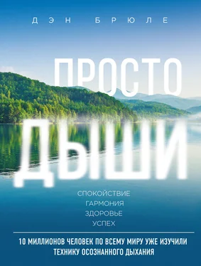 Дэн Брюле Просто дыши. Спокойствие. Гармония. Здоровье. Успех [litres] обложка книги