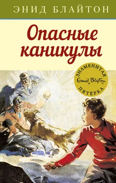 Энид Блайтон Опасные каникулы обложка книги