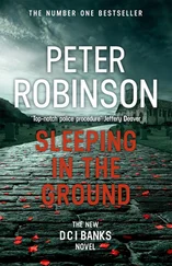 Peter Robinson - Sleeping in the Ground