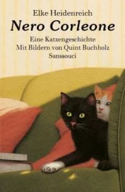 Эльке Хайденрайх Nero Corleone обложка книги