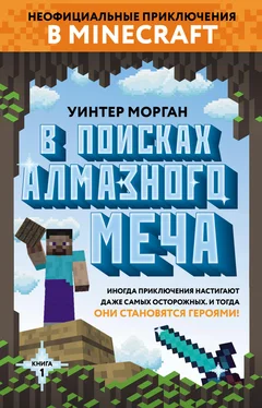 Уинтер Морган В поисках алмазного меча. Книга 1 [litres] обложка книги