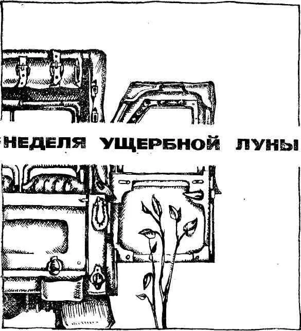 ГЛАВА ПЕРВАЯ 1 Место под треногой на этот раз выпало чистое прямо хоть - фото 4