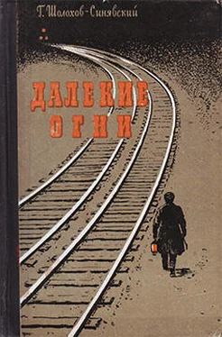 Георгий Шолохов-Синявский Далекие огни обложка книги