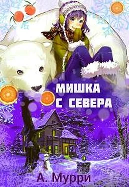 Александра Мурри Мишка с севера [СИ] обложка книги