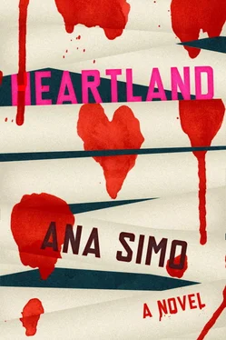 Ana Simo Heartland обложка книги