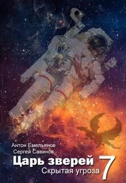 Антон Емельянов Царь зверей 7 обложка книги