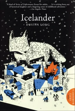 Dustin Long Icelander обложка книги