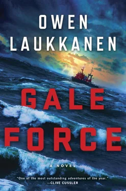 Оуэн Локканен Gale Force обложка книги