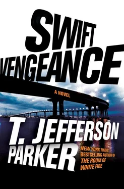 Т Паркер Swift Vengeance обложка книги