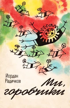 Йордан Радичков Ми, горобчики обложка книги