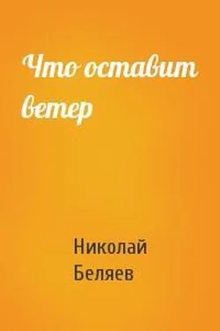 Николай Беляев Что оставит ветер обложка книги