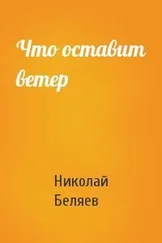 Николай Беляев - Что оставит ветер