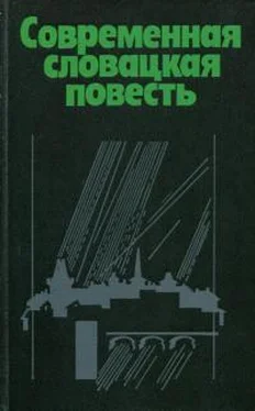 Альфонз Беднар Современная словацкая повесть обложка книги