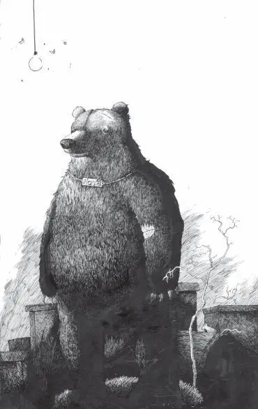 This is one of only several existing images of a bear rumored to have been - фото 66