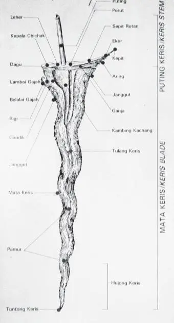 The map for creating an Assassins Twist plot twist included Kris The - фото 69