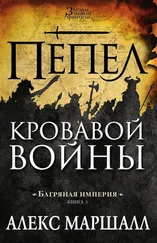 Алекс Маршалл - Пепел кровавой войны [исходный файл книги]