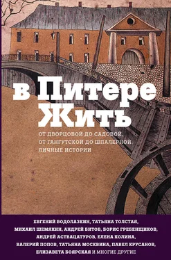 Наталья Галкина Сад Сен-Жермен обложка книги