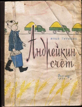 Илья Туричин Андрейкин счёт обложка книги