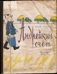 Илья Туричин - Андрейкин счёт
