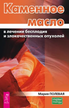 Мария Полевая Каменное масло в лечении бесплодия и злокачественных опухолей обложка книги