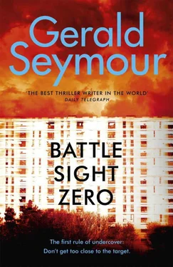 Gerald Seymour Battle Sight Zero обложка книги