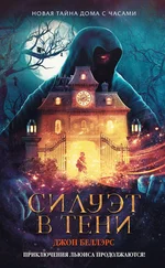 Джон Беллэрс - Силуэт в тени [litres]