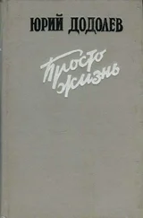 Юрий Додолев - Просто жизнь - Повести и рассказы