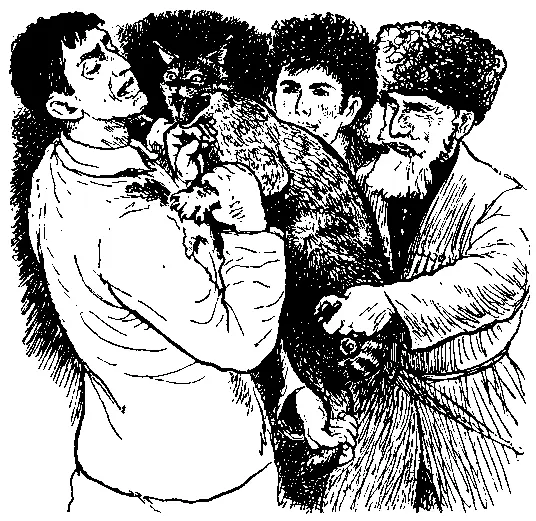 Длинные острые клыки пронзили мякоть подбородка От боли Магомед невзвидел - фото 6