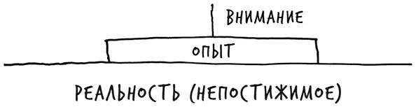 На основе того что вы замечаете формируются ваши гипотезы и суждения - фото 13