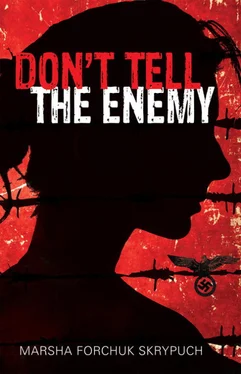 Marsha Skrypuch Don't Tell the Enemy обложка книги