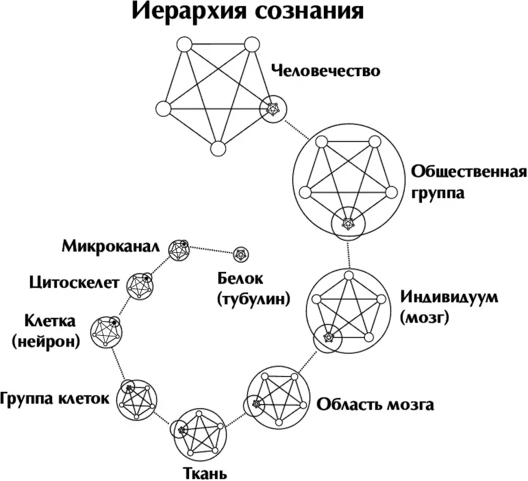 Схема взята из книги доктора Сатиновера Quantum Brain The Search for Freedom - фото 3