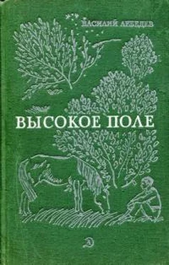 Василий Лебедев Высокое поле обложка книги