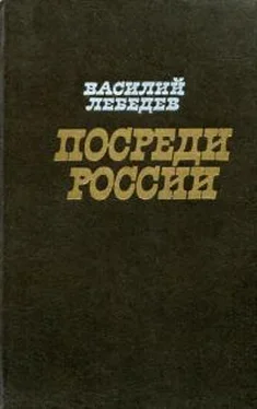 Василий Лебедев Посреди России обложка книги