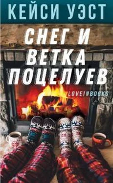 Кейси Уэст Снег и ветка поцелуев обложка книги