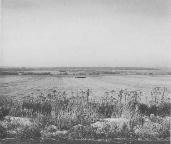 Поле Куликово Куликовская битва Миниатюра Сказания о Мамаевом побоище XVII - фото 43