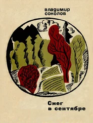 Владимир Соколов - Снег в сентябре