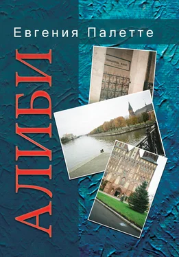 Евгения Палетте Алиби обложка книги