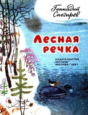 Геннадий Снегирёв Лесная речка обложка книги