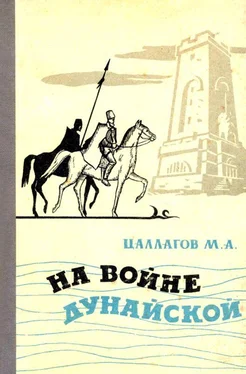 Мамсур Цаллагов На войне Дунайской [Документальная повесть] обложка книги
