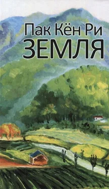 Пак Кён Ри Земля. Том 1 обложка книги