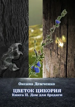 Оксана Демченко Дом для бродяги [Litres] обложка книги