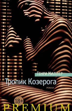 Генри Миллер Тропик Козерога [litres] обложка книги