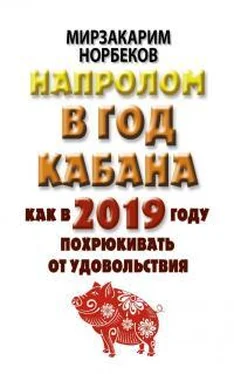 Мирзакарим Норбеков Напролом в год Кабана: как в 2019 году похрюкивать от удовольствия обложка книги