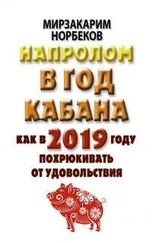 Мирзакарим Норбеков - Напролом в год Кабана - как в 2019 году похрюкивать от удовольствия